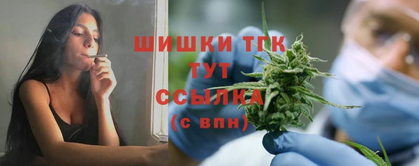 стаф Вуктыл