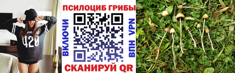 Купить  Ефремов  Псилоцибиновые грибы Magic Shrooms 